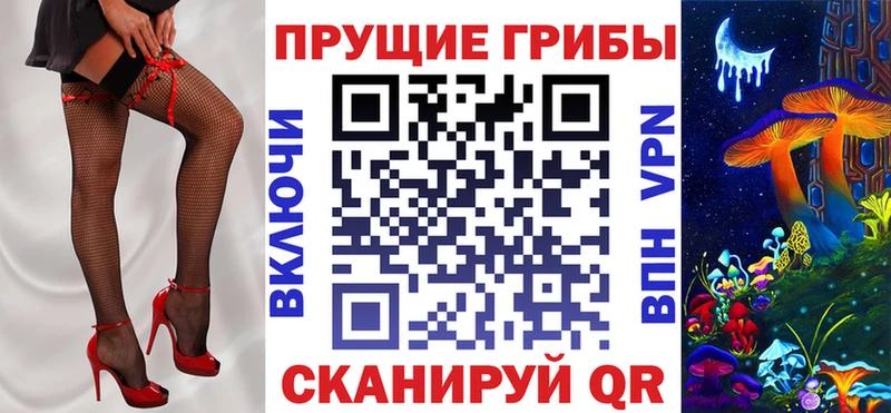 купить наркотик  Шлиссельбург  Псилоцибиновые грибы ЛСД 